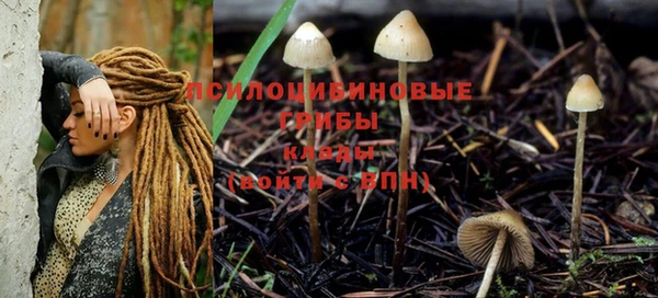 марки lsd Белокуриха
