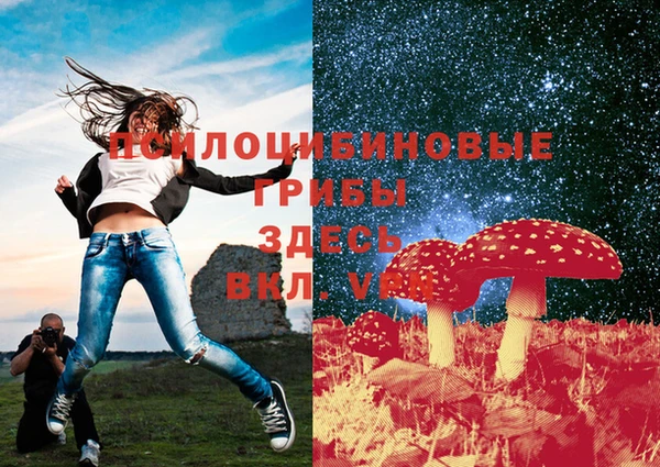 дживик Белоозёрский