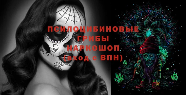 дживик Белоозёрский