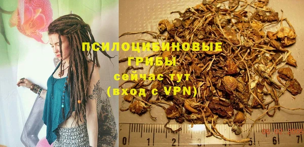 дживик Белоозёрский